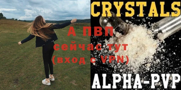сатива Михайловка
