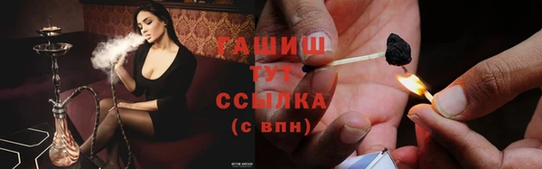 сатива Михайловка