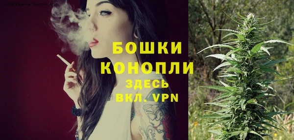 сатива Михайловка