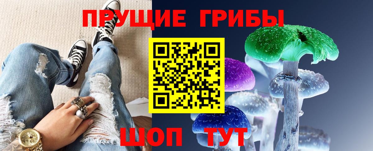 Дербент  Галлюциногенные грибы Psilocybe  Вход с VPN 