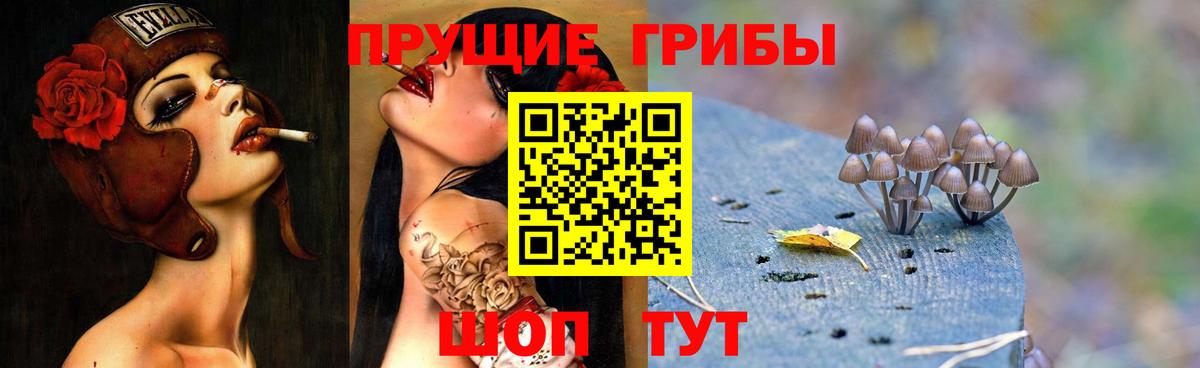 Галлюциногенные грибы Psilocybine cubensis Дербент