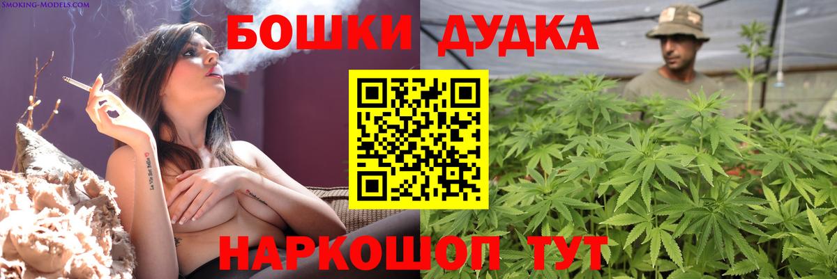 Бошки Шишки планчик Дербент